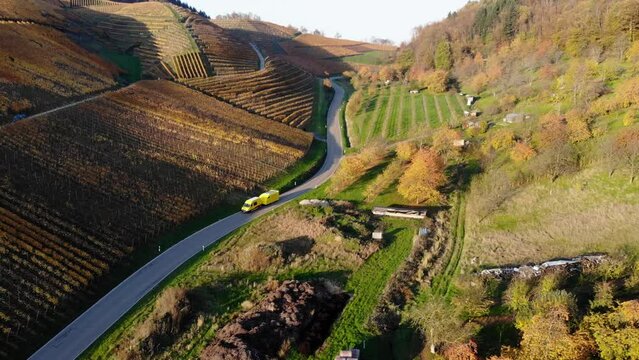 Transporter with trailer drives through vineyards that glow in colorful autumn colors. Filmed during sunset.