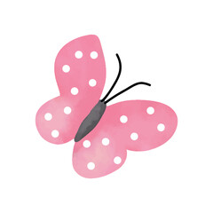 pink butterfly on white background 
