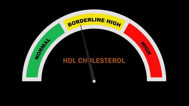 Transparent Cholesterol Index, HDL measurement QuickTime Animation , HDL Cholesterol index scale Animation, HDL Measurement technique, HDL Cholesterol levels Animation