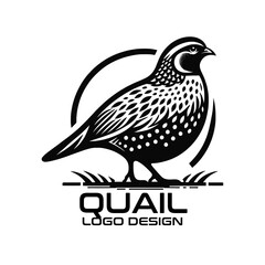 Quail Vector Logo Design