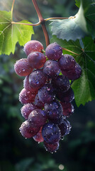 Beautiful presentation of Whole grapes, hyperrealistic food photography