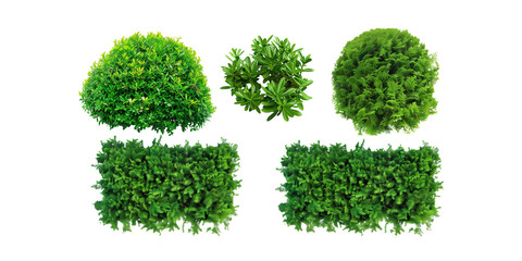 five isolated circular hedges with different varieties of lush, green against png background for garden designs