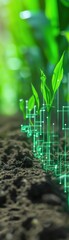 New soil management techniques, enabled by AI analysis, help farmers apply precise amounts of fertilizers, enhancing sustainability, viewed closeup
