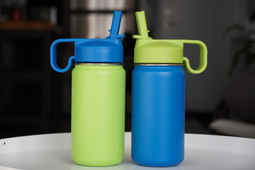 Cute Insulated Stainless Steel Water Bottle with straw lid