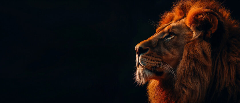 A majestic lion silhouette against backdrop of neon pink and blue smoke, enchanting atmosphere.