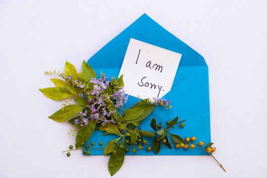 i am sorry message card in blue envelope with purple flowers arrangement flat lay postcard style on background white 