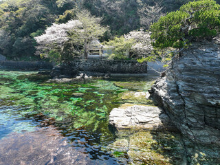 愛媛県伊方町　住吉神社の風景