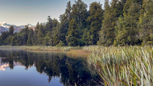 Scenic reflective lake Matheson on the West Coast of NZ