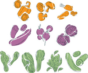 Vegetable Illustration