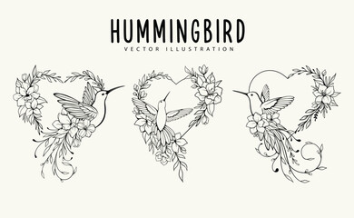 Hummingbird Botanical love frame vector illustration