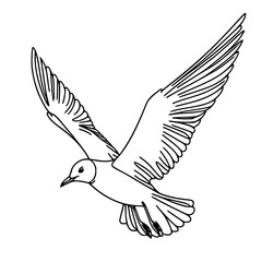 Line art flying Seagull bird illustration