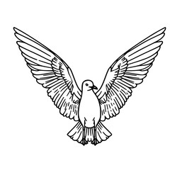 Line art  a flying bird