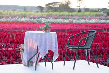 A table and a chair in the flower garden