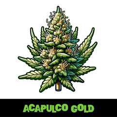 Vector Illustrated Acapulco Gold Cannabis Bud Strain Cartoon