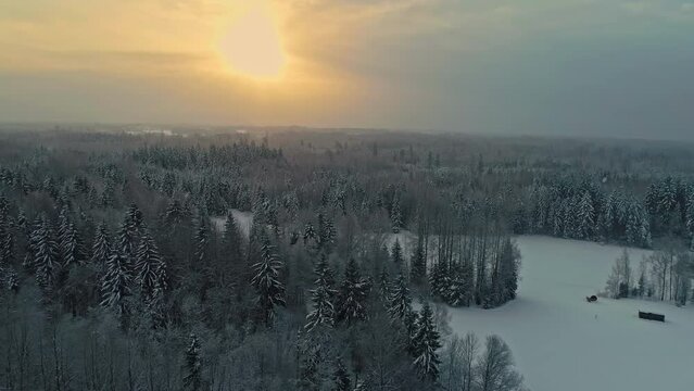 Frozen forest fields with lake turned into ice winter rural location, aerial drone slow motion, golden sun ball skyline background