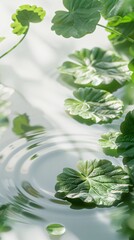 Tranquil Cica Oasis: A serene blend of lush greenery, calming water, and soft light, embodying the healing essence of Centella Asiatica (Cica). Ideal for skincare and wellness themes.