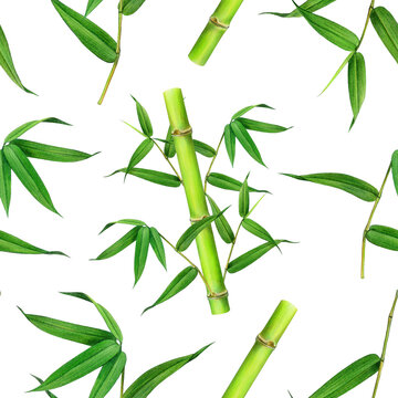Bamboo plant stem with green leaves seamless pattern. Watercolor illustration. Hand painted cane green leaves on the branch. Bamboo stalk, green leaf seamless pattern decor. White background