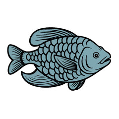 illustration of a fish