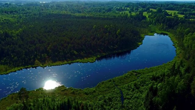 Drone view over lake surrounded by thick green forest. Sunny day reflected in water
