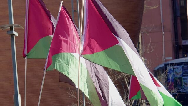 Flags of Palestine flutter at support rally in Helsinki, Finland