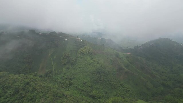 Flying over green mountain ridges of a coffee farm located in the Coffee Axis in Bajo Tablazo near the city of Manizales in the Caldas department of Colombia