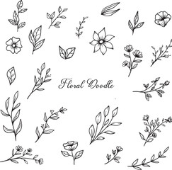 Set of  hand drawn leaves and flower decorative floral element