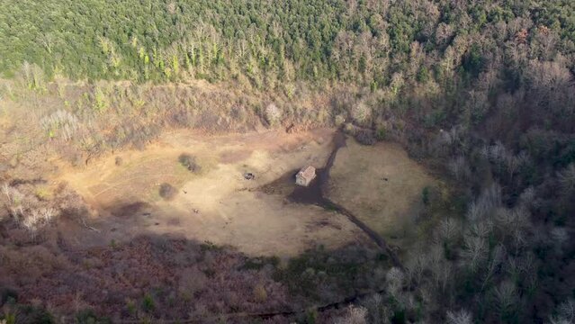 Aerial Drone View, Center of a crater.  Inactive Santa Margarida Volcano: Massive Crater in Catalonia Spain. Historic Church Chapel in Overgrown Forested Ruins in the Pyrenees Mountain Ranges.