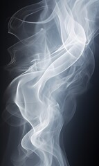 Fototapeta premium Smoke on a black background