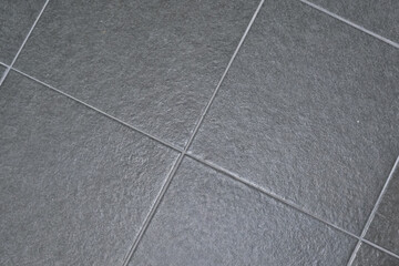 Bathroom tiles should be dark colored to prevent mold from appearing