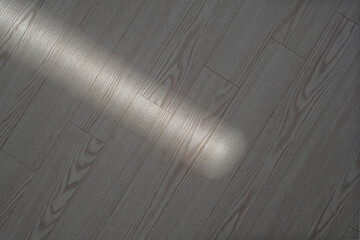 Light shines on the wood grain floor of the house