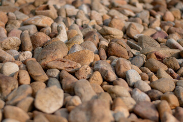 Shallow depth of field of sand and rocks at the beach at sunset