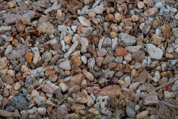 Stony beach on a sunny day. Background of different pebbles from above on the beach