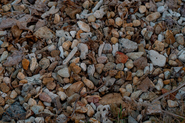 Stony beach on a sunny day. Background of different pebbles from above on the beach