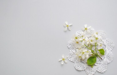 Holiday floral concept. White flowers on a white lace napkin on a pastel gray background. Postcard, background, place for text, top view, copy. 