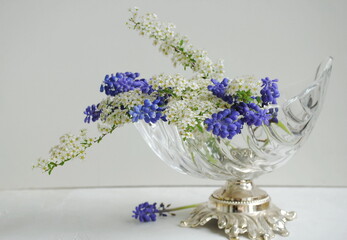 White and blue flowers in a glass vase on a white background. Postcard, place for text.