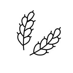 Rice doodle illustration