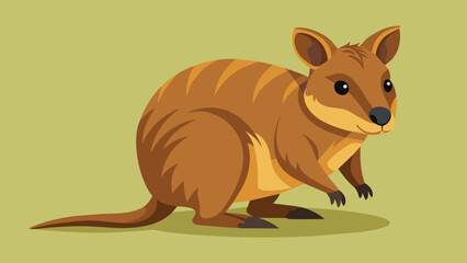 Fototapeta premium Funny cute Quokka, Setonix brachyurus as Short-tailed Scrub Wallaby with Rounded Ears Standing on Hind Legs and Smiling Vector Illustration