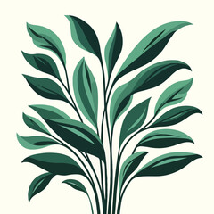 Fototapeta premium Indoor plant interior design decor money plant cactus in a tub white background green eco friendly studio design vector