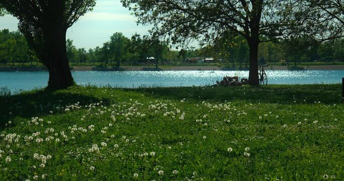 Zagreb's Jarun Lake: tranquil waters, vibrant greenery, and a lone individual soaking up the sunny ambiance.