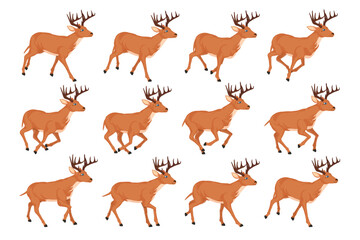 Deer Smooth Run Cycle Animation 2d Vector Illustration
