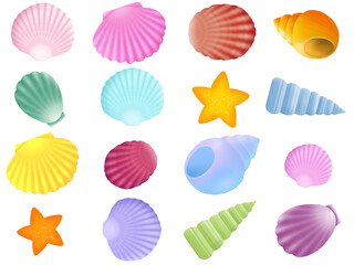 貝殻の素材セット　A-1