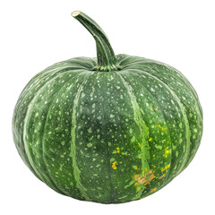 Green pumpkin isolated on white background