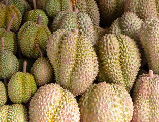 Durian fruit as background. Close-up - obrazy, fototapety, plakaty