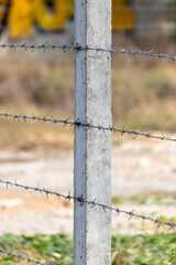 Barbed wire in nature as a background