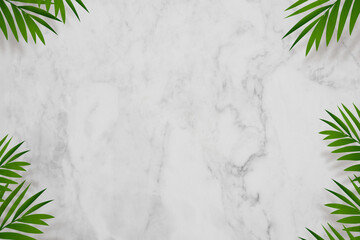 Marble background,palm leaves and shadow border frame with copy space for Summer,Holiday banner,Empty White,Grey nature granite texture or ceramic counter coconut leaf for product present