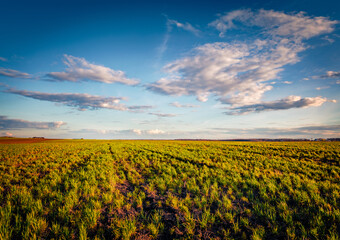Splendid cloudscape on countryside. Green pasture at July. Picturesque sunner sunset in Ukrainian...