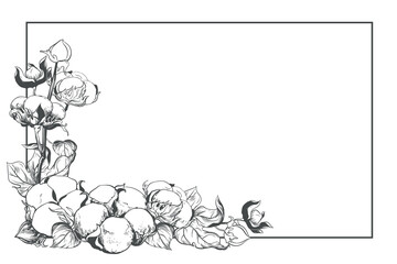 Rectangular horizontal frame with cotton flowers and space for text. Linear sketch of white cotton balls, leaves and branches. Retro ink vector illustration. Design for label, tag, wedding invitation.