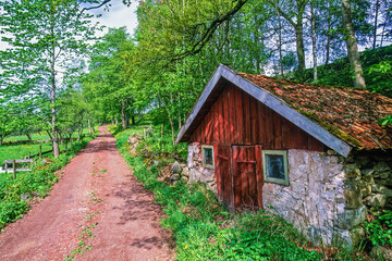 Old shed by a dirt road in lush green springtime - 786879298