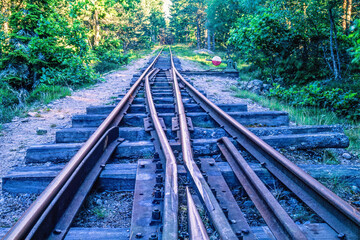Switch on a railway track in the forest