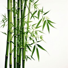 Fototapeta na wymiar a branches of bamboo isolated on transparent background, cut out